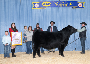 Reserve Grand Champion Bull Reserve Grand Champion Bull