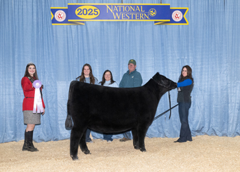 Reserve Senior Heifer Calf Champion Reserve Senior Heifer Calf Champion