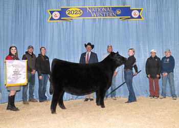Reserve Grand Champion Female Reserve Grand Champion Female