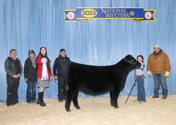 Reserve Junior Heifer Calf Champion-Division 1 Reserve Junior Heifer Calf Champion-Division 1