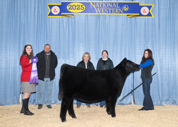 Summer Heifer Calf Champion Summer Heifer Calf Champion