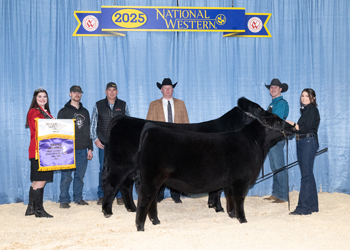 Grand Champion Cow-calf Pair Grand Champion Cow-calf Pair