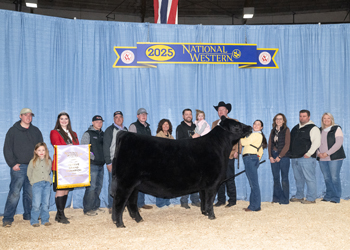 Reserve Grand Champion Female Reserve Grand Champion Female