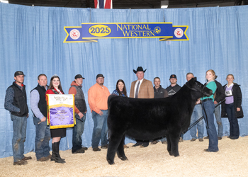 Grand Champion Female Grand Champion Female