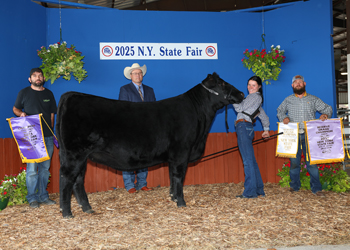 Reserve Grand Champion Female
