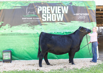 Grand Champion Bred-and-owned Female