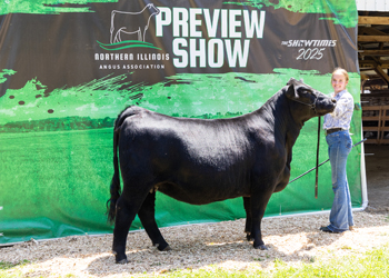 Grand Champion Owned Female