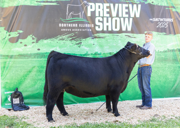 Reserve Grand Champion Bred-and-owned Female