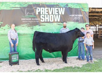 Grand Champion Steer