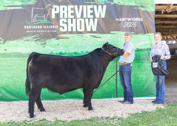 Reserve Grand Champion Steer