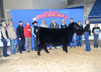 Grand Champion Owned Female Grand Champion Owned Female