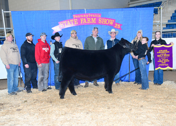 Grand Champion Bred-and-owned Female Grand Champion Bred-and-owned Female