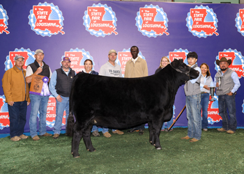 Grand Champion Bred-and-owned Female