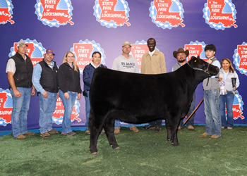 Reserve Grand Champion Bred-and-owned Female