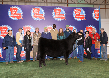 Reserve Grand Champion Owned Female