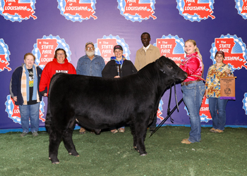 Reserve Grand Champion Owned Bull