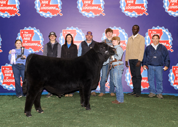 Reserve Champion Louisiana Bred Bull