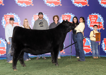 Grand Champion Female