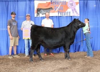 Reserve Grand Champion Female