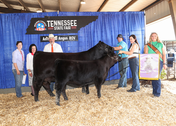 Reserve Grand Champion Cow-calf Pair
