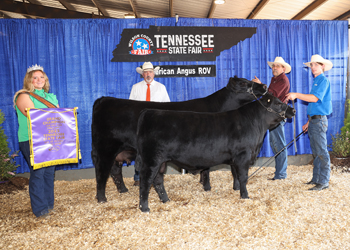 Grand Champion Cow-calf Pair