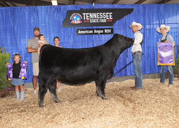 Senior Champion Female