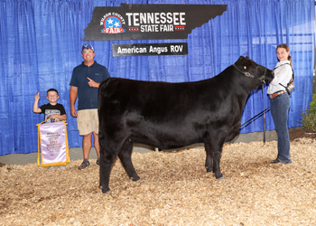 Reserve Senior Champion Female