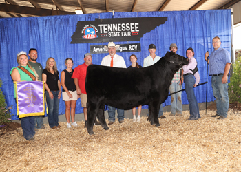 Grand Champion Female