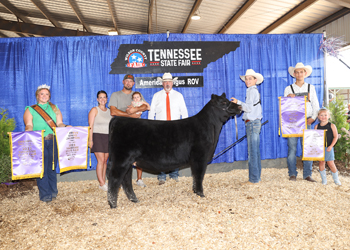 Reserve Grand Champion Female