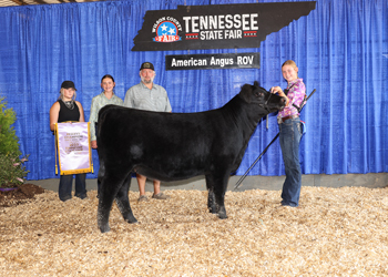 Reserve Senior Heifer Calf Champion