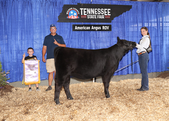 Reserve Junior Heifer Calf Champion