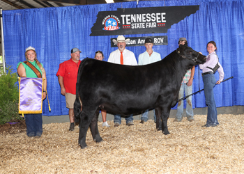 Grand Champion Bred-and-owned Female
