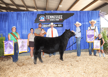 Reserve Grand Champion Owned Female