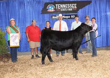 Reserve Grand Champion Bred-and-owned Female