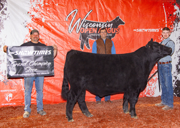 Grand Champion Steer