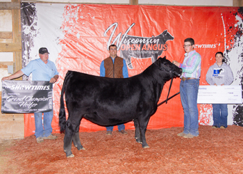 Grand Champion Female
