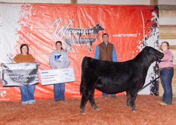 Reserve Grand Champion Female