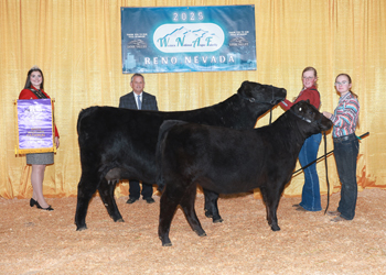 Grand Champion Cow-calf Pair Grand Champion Cow-calf Pair