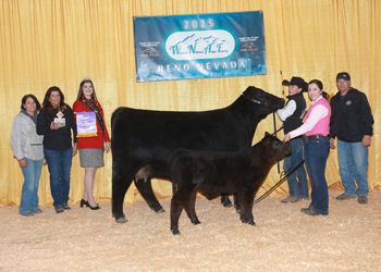 Senior Champion Female Senior Champion Female