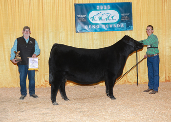 Reserve Summer Champion Reserve Summer Champion