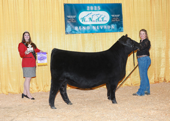 Senior Heifer Calf Champion Senior Heifer Calf Champion