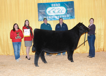 Reserve Senior Heifer Calf Champion Reserve Senior Heifer Calf Champion