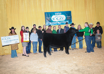 Reserve Grand Champion Female Reserve Grand Champion Female
