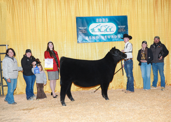 Reserve Summer Heifer Calf Champion Reserve Summer Heifer Calf Champion