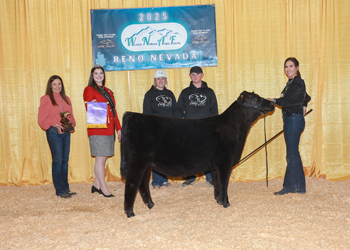 Champion Fall Heifer Calf Champion Fall Heifer Calf