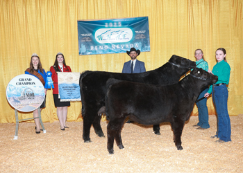 Grand Champion Cow-calf Pair Grand Champion Cow-calf Pair