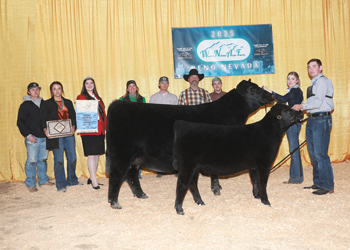 Owned Senior Champion Female Owned Senior Champion Female