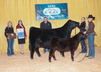 Bred-and-owned Junior Champion Heifer Bred-and-owned Junior Champion Heifer