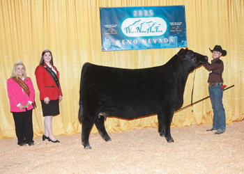 Owned Reserve Junior Champion Heifer Owned Reserve Junior Champion Heifer