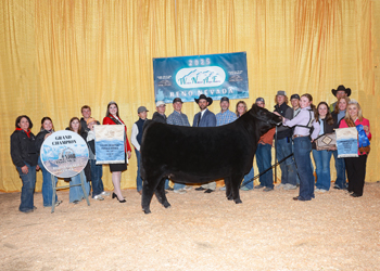 Grand Champion Owned Female Grand Champion Owned Female